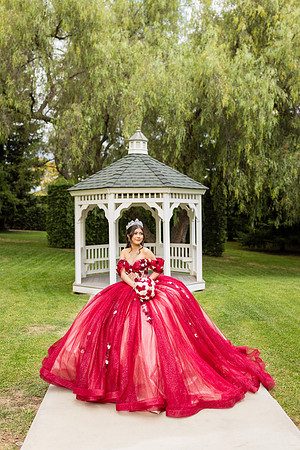Sweet 16 Birthday Photos - Lindley-Scott House Azuza Ca-037