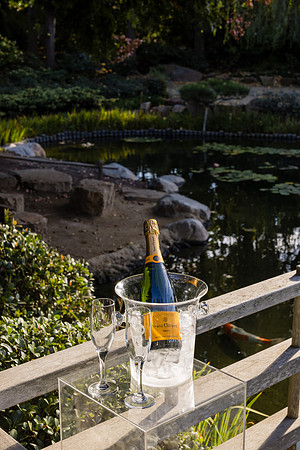 Earl Burns Miller Japanese Garden Surprise Engagement Proposal-009