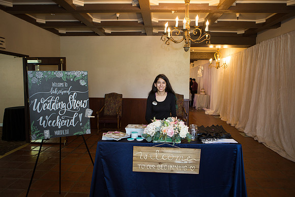Wedding Show Weekend 2017-33