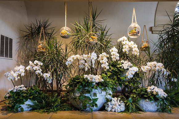 Event Photos Culina Restaurant Four Seasons Beverly HIlls-014