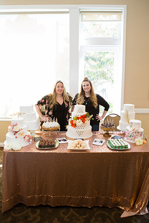 Wedding Show Weekend 2017-55
