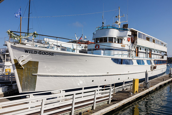 Wild Goose Wedding Photos - City Cruises Newport Beach C-145