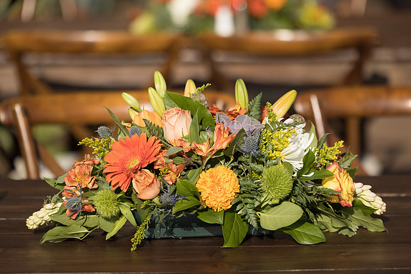 Kings Hawaiia - David England Photography-583