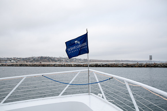 Hornblower Dream On Yacht-126