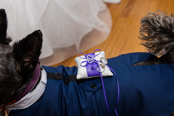 Wedding Photographer Long Beach -133
