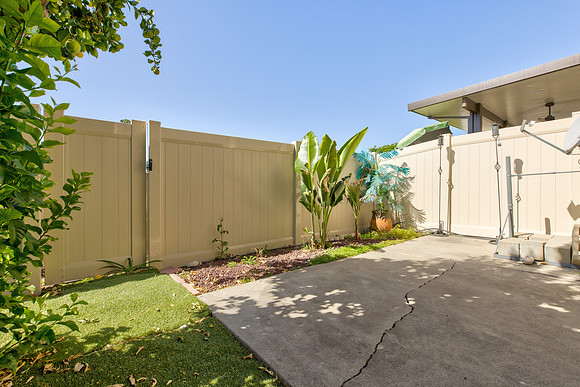 Back Yard 6