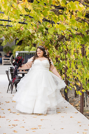 Wedding Photos Del Valle Winery Livermore Ca-114