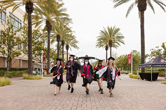 Chapman Baccalaureate -100