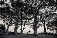 Linda & Ron's Wedding - Wayfarers Wedding Photos