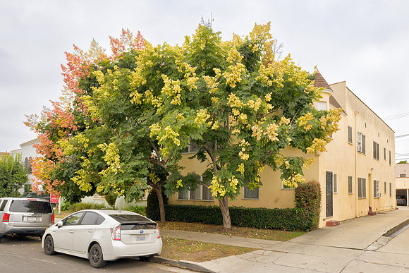 445 N Spaulding-11