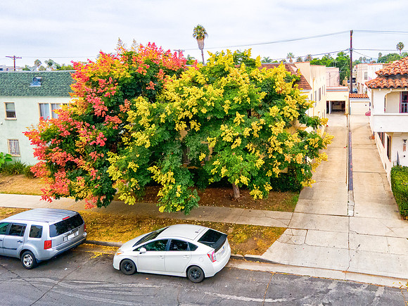 Drone 445 N Spaulding-1