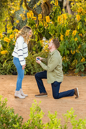 Engagement Photos South Coast Botanical Gardens-35