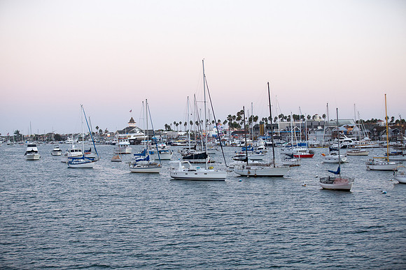 Wild Goose Hornblower-46
