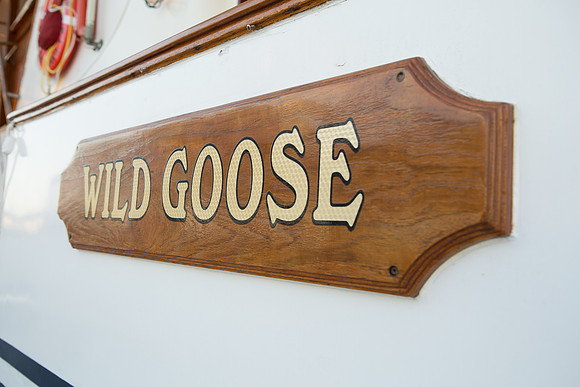 Wild Goose Hornblower-17