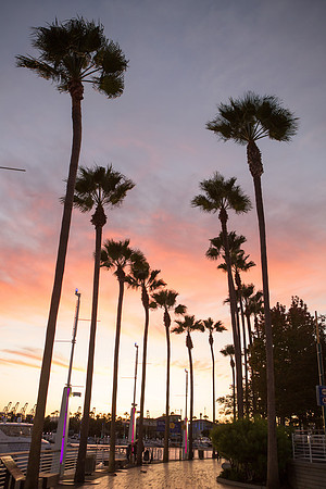 Long Beach Photography-21