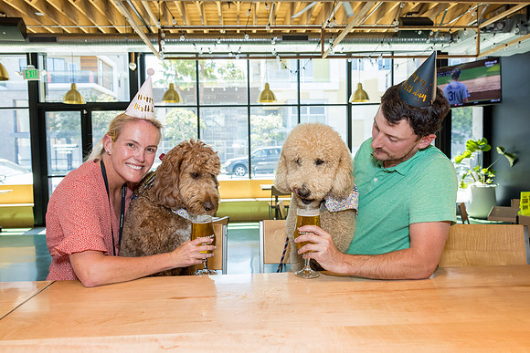 Pet Photographer Long Beach  - Trademark Brewing -068