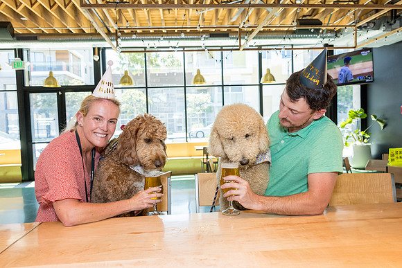 Pet Photographer Long Beach  - Trademark Brewing -067