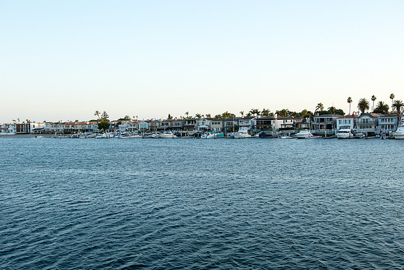 Wild Goose Hornblower-40