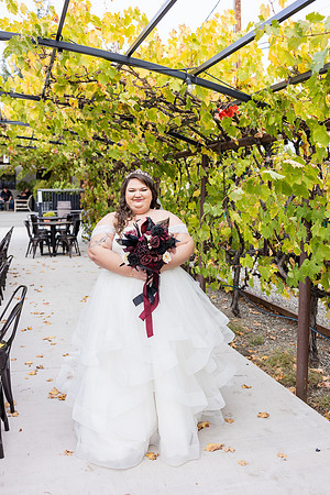 Wedding Photos Del Valle Winery Livermore Ca-123