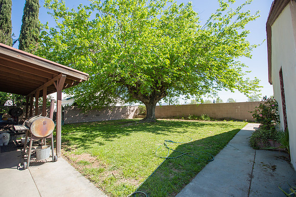 2569 Spruce St-47