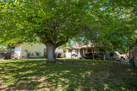 2569 Spruce St-43