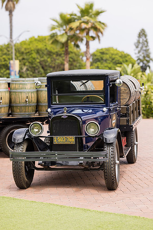 Hotel del Coronado Photographer-067