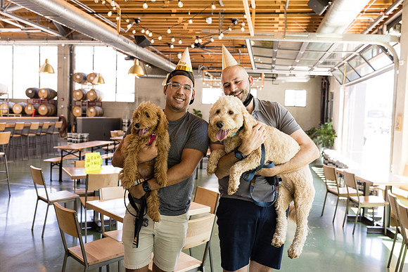 Pet Photographer Long Beach  - Trademark Brewing -140