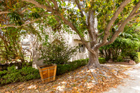 1043 S Orange Grove - Real Estate Photographer LA-103