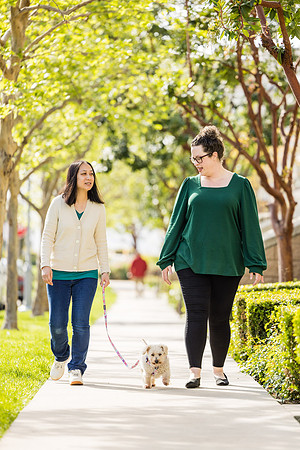 Pet Photographer Aliso Viejo - Pet Photographer Oc-045