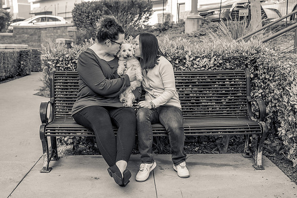 Pet Photographer Aliso Viejo - Pet Photographer Oc-017