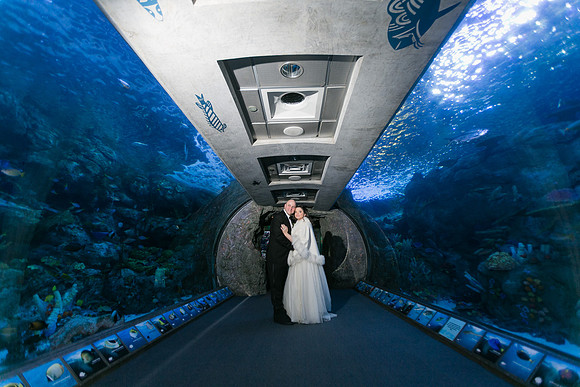 Acquarium of the Pacific Wedding-12