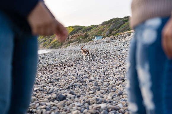 Engagement Photos Abalone Cove Reserve - David England Photography-259