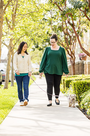Pet Photographer Aliso Viejo - Pet Photographer Oc-046