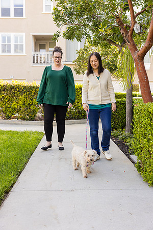 Pet Photographer Aliso Viejo - Pet Photographer Oc-007