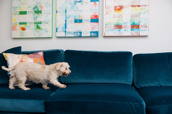 Pet Photographer Aliso Viejo - Pet Photographer Oc-128