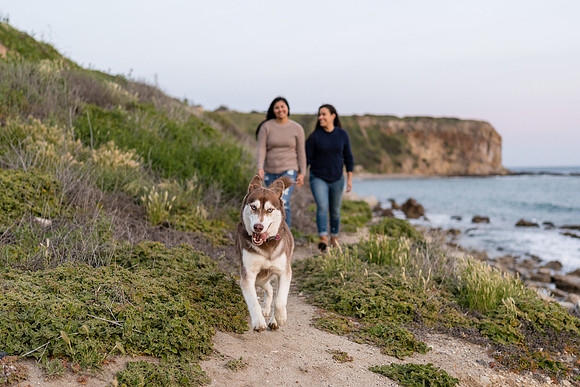 Engagement Photos Abalone Cove Reserve - David England Photography-294