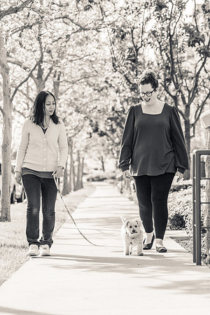 Pet Photographer Aliso Viejo - Pet Photographer Oc-042