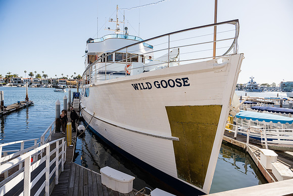 Wedding Photos Wild Goose - City Cruises Newport Beach-054