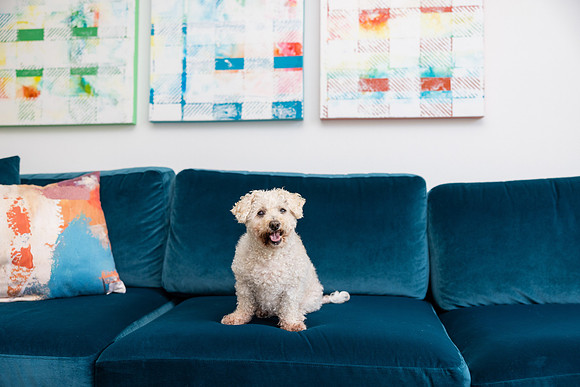 Pet Photographer Aliso Viejo - Pet Photographer Oc-139