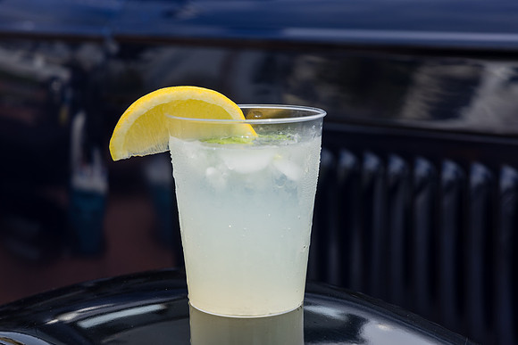 Hotel del Coronado Photographer-106