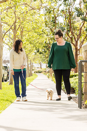 Pet Photographer Aliso Viejo - Pet Photographer Oc-041