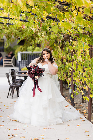 Wedding Photos Del Valle Winery Livermore Ca-116