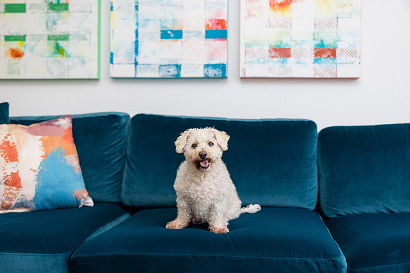 Pet Photographer Aliso Viejo - Pet Photographer Oc-136