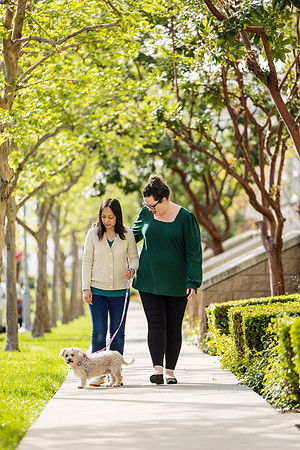 Pet Photographer Aliso Viejo - Pet Photographer Oc-050