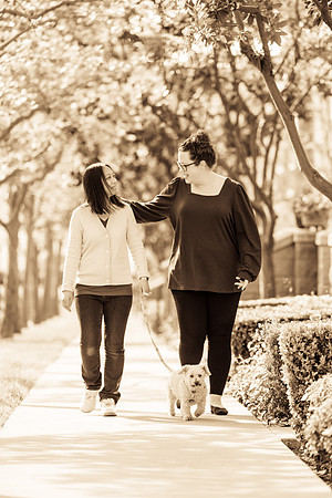 Pet Photographer Aliso Viejo - Pet Photographer Oc-054