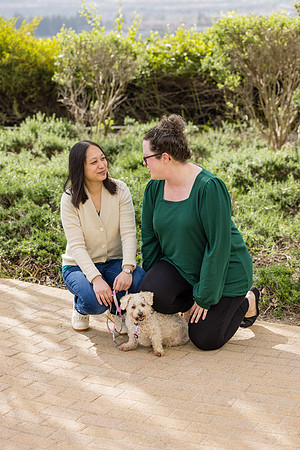 Pet Photographer Aliso Viejo - Pet Photographer Oc-104