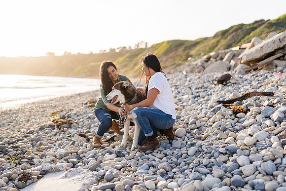 Engagement Photos Abalone Cove Reserve - David England Photography-150