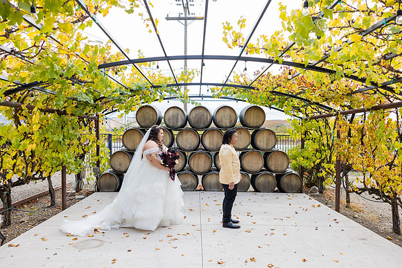 Wedding Photos Del Valle Winery Livermore Ca-126