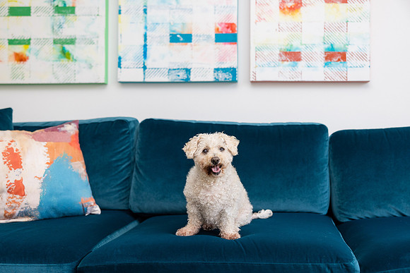 Pet Photographer Aliso Viejo - Pet Photographer Oc-138