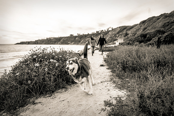 Engagement Photos Abalone Cove Reserve - David England Photography-308